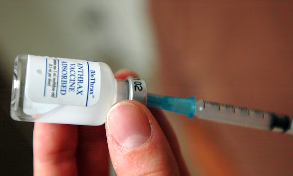 Cách Louis Pasteur thử nghiệm vaccine phòng bệnh than
