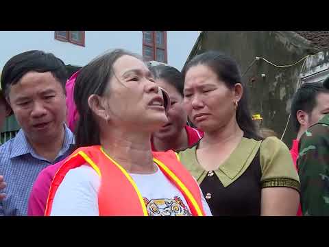 PHONG NGUA THIEN TAI THAM HOA 7 2025